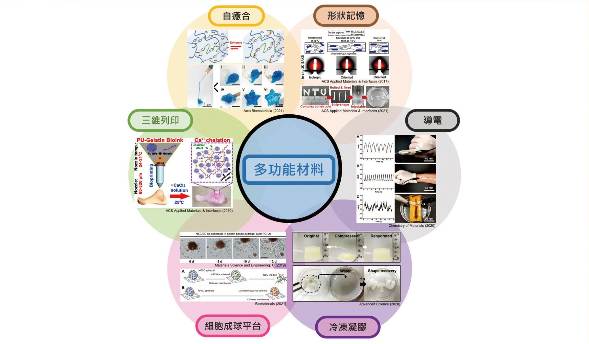 徐善慧