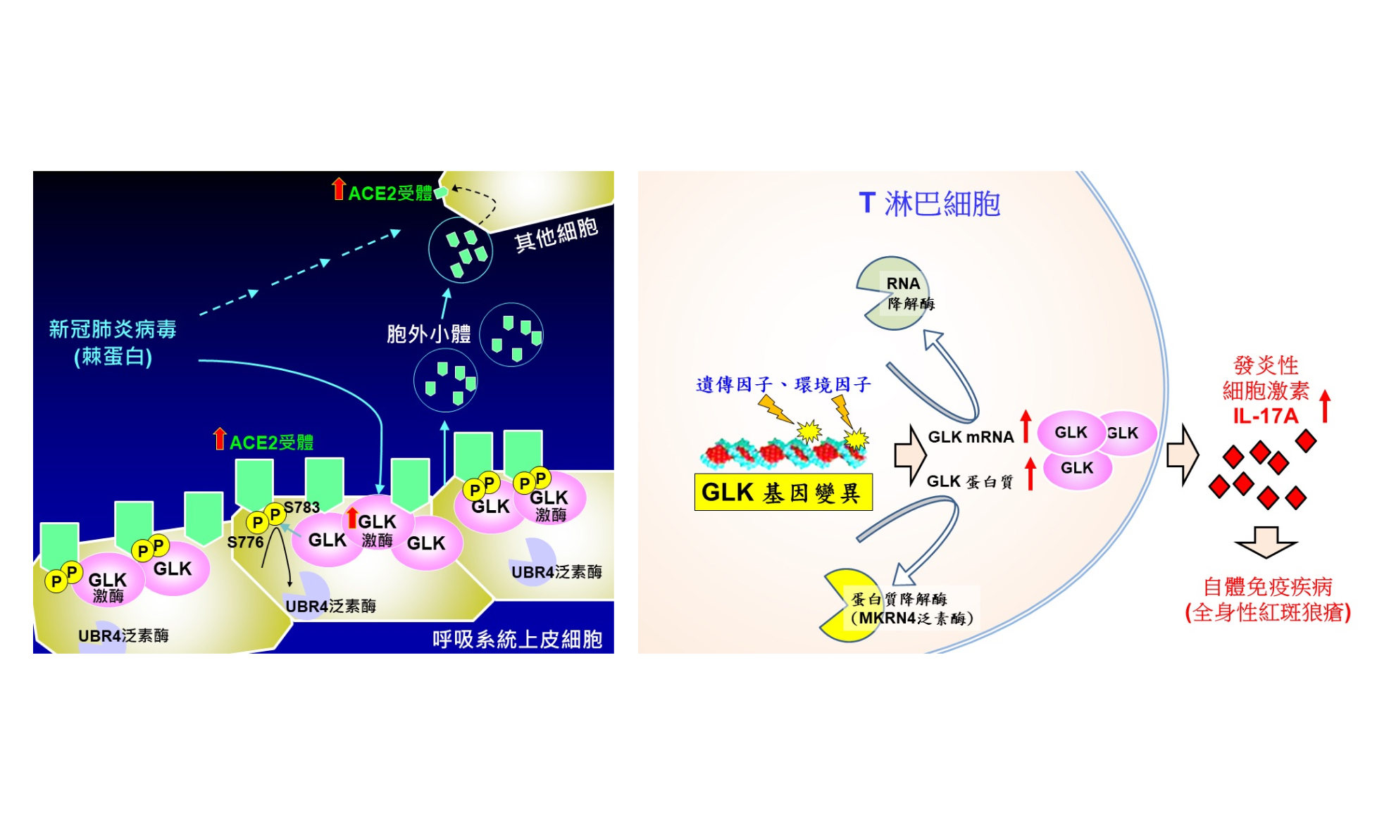 傑出研究獎