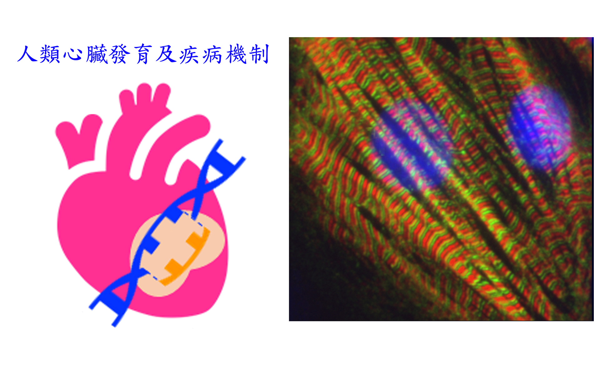 傑出研究獎