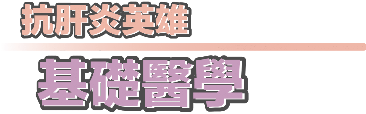 標題：抗肝炎英雄-基礎醫學