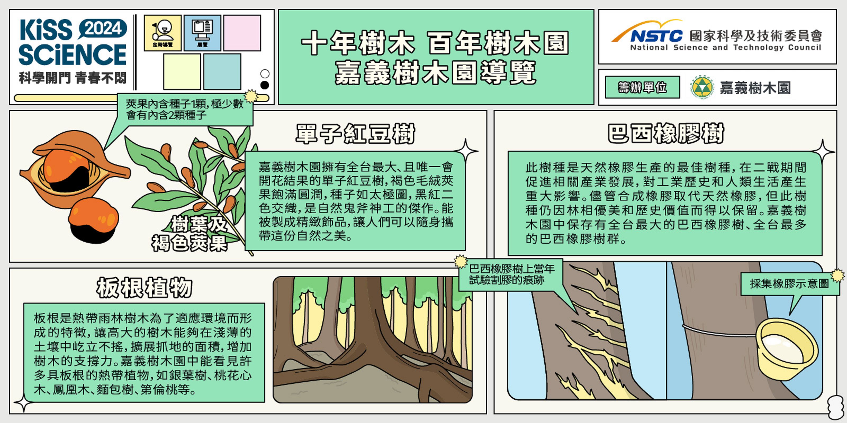 十年樹木，百年樹木園 － 嘉義樹木園導覽