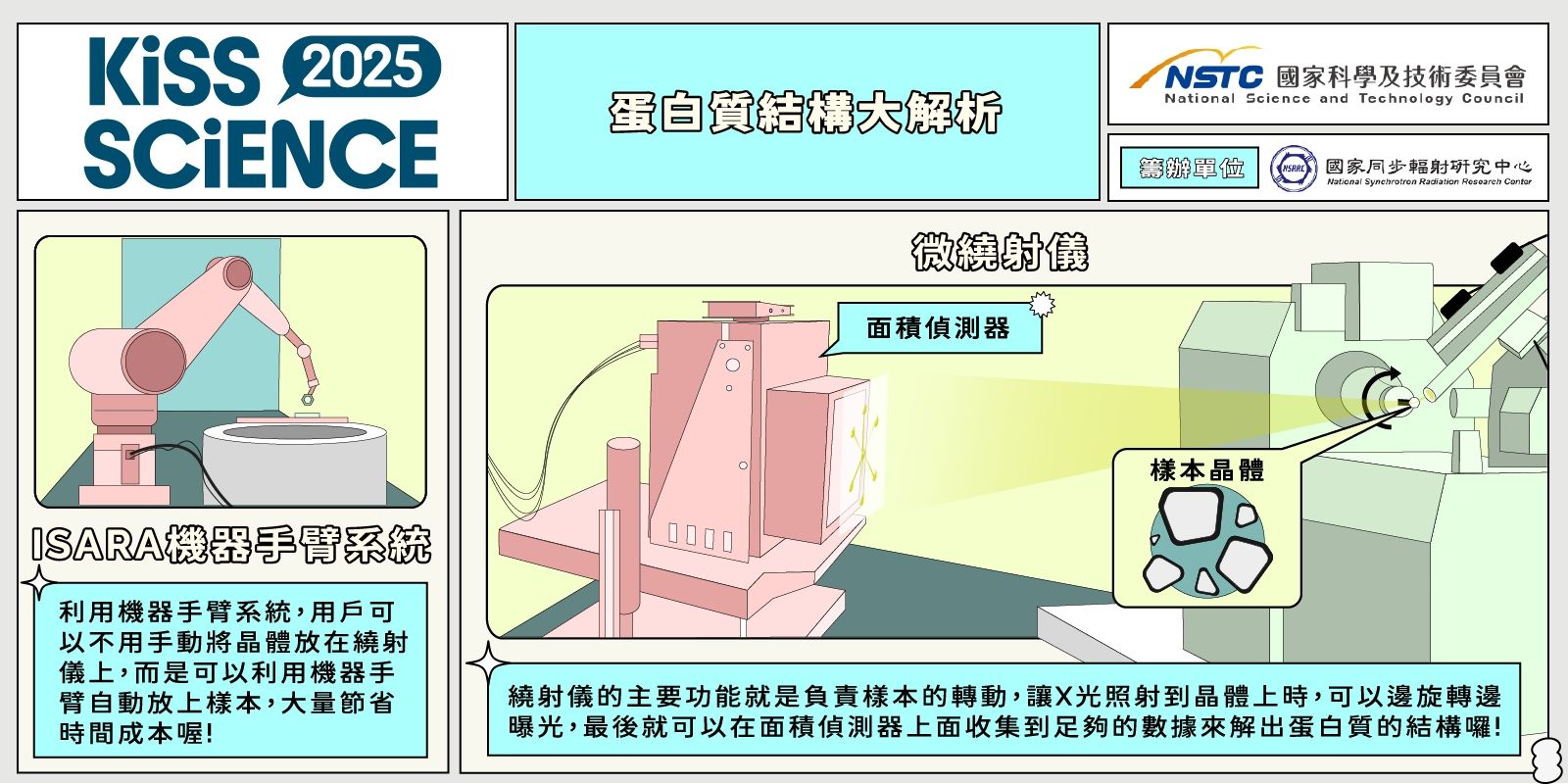 蛋白質結構大解析