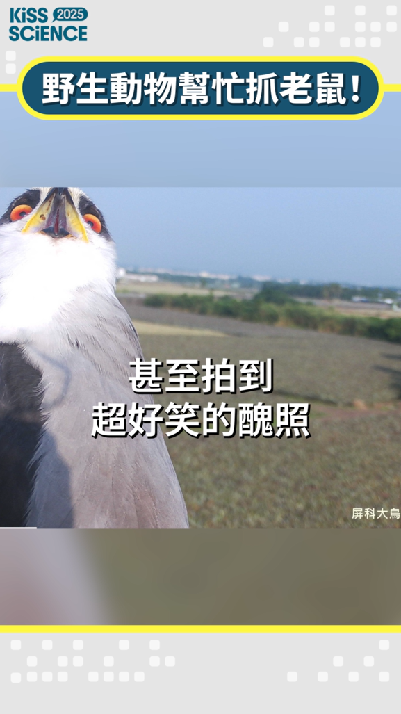 特色場域圖片