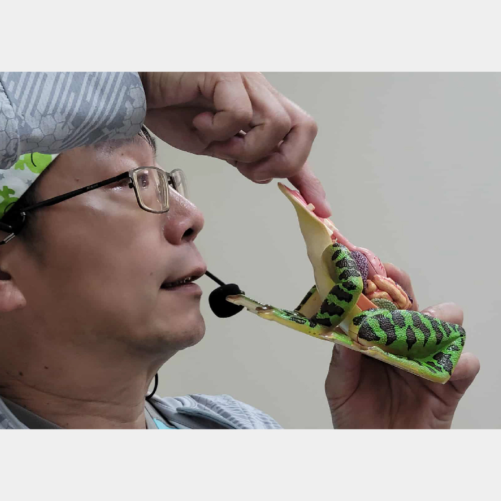 科學工作坊