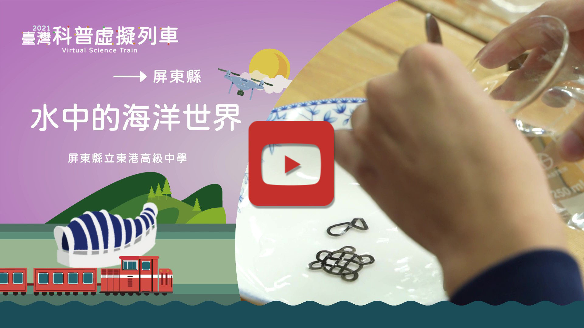 水中的海洋世界