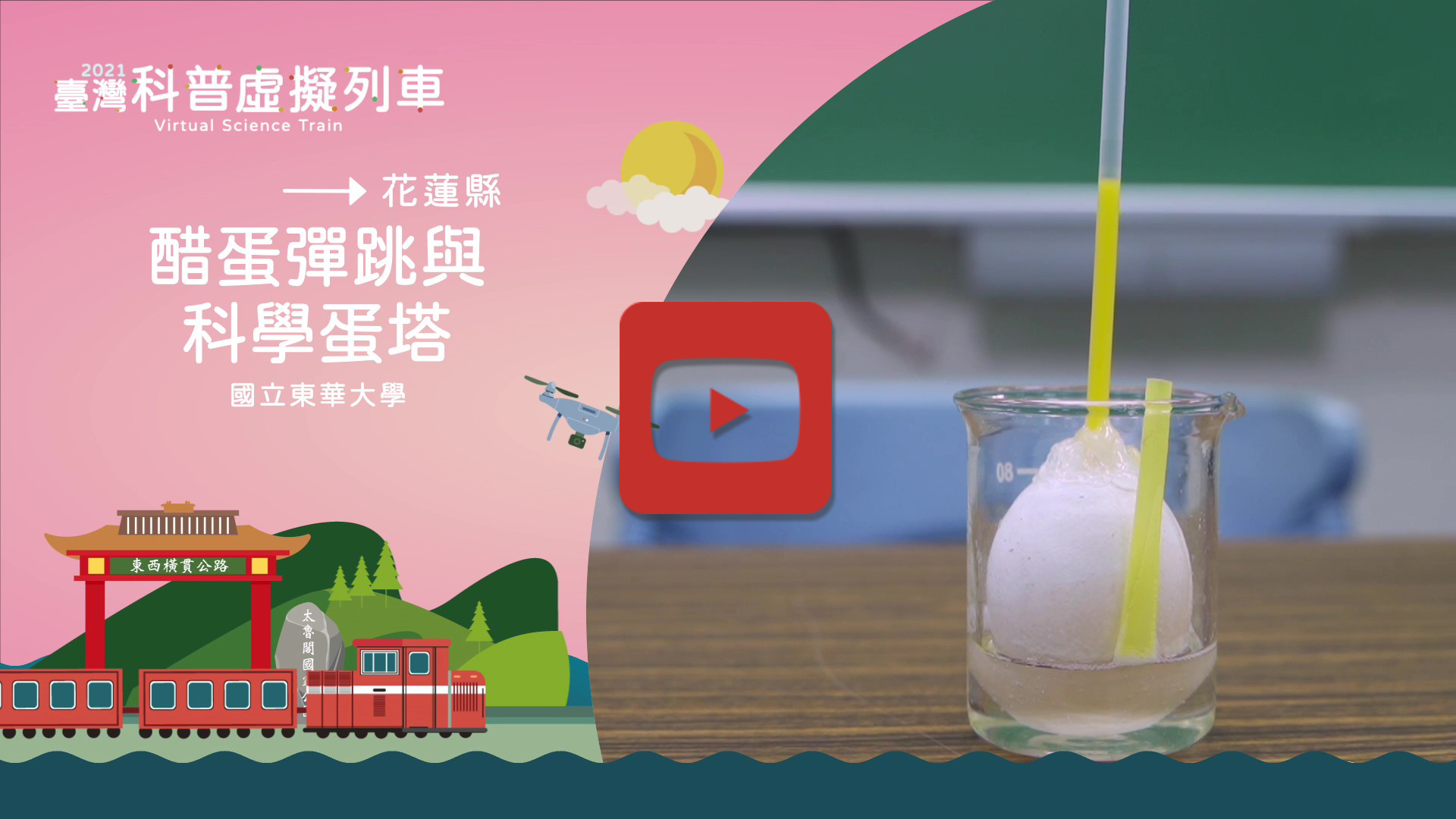 醋蛋彈跳與科學蛋塔