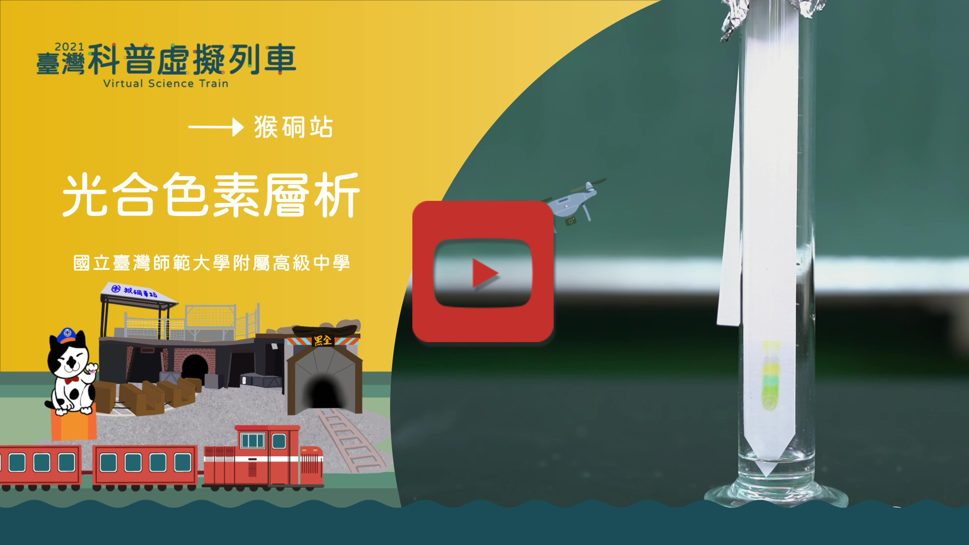 光合色素層析