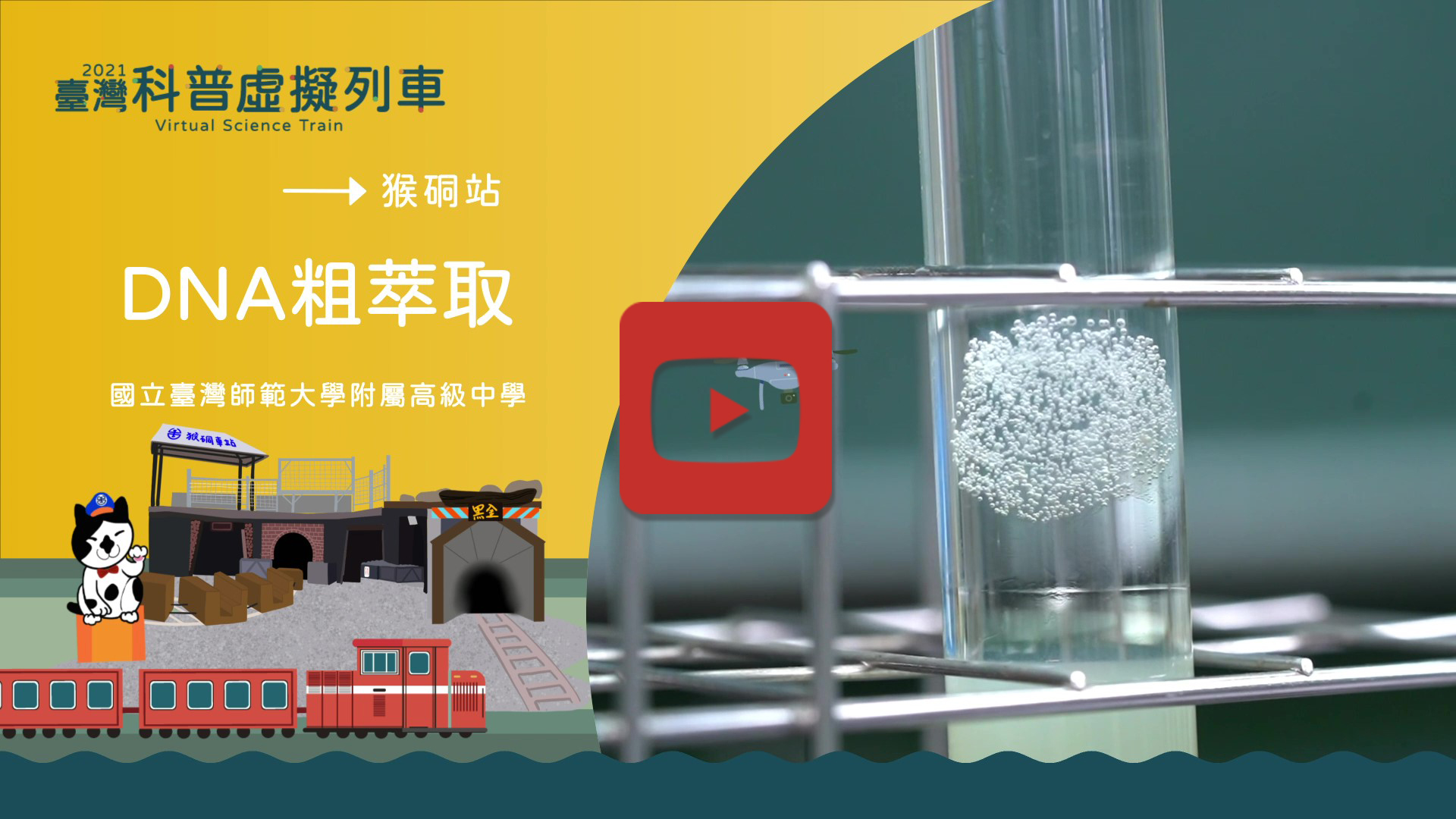 DNA粗萃取