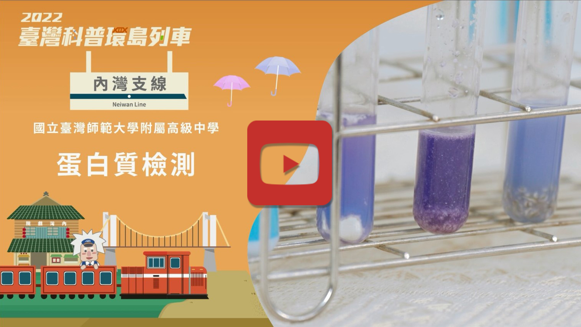 蛋白質檢測